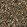 Paperbark
